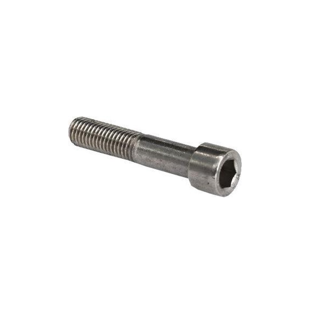 Bout Allen M5x30mm stainless steel