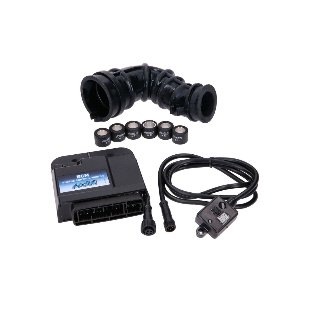 Polini ECU Euro 4 Regelbaar Piaggio 4 Takt