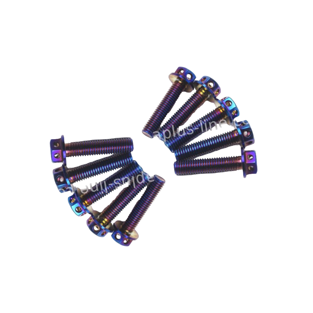 Oil Look bolts M8x35mm 10 pieces