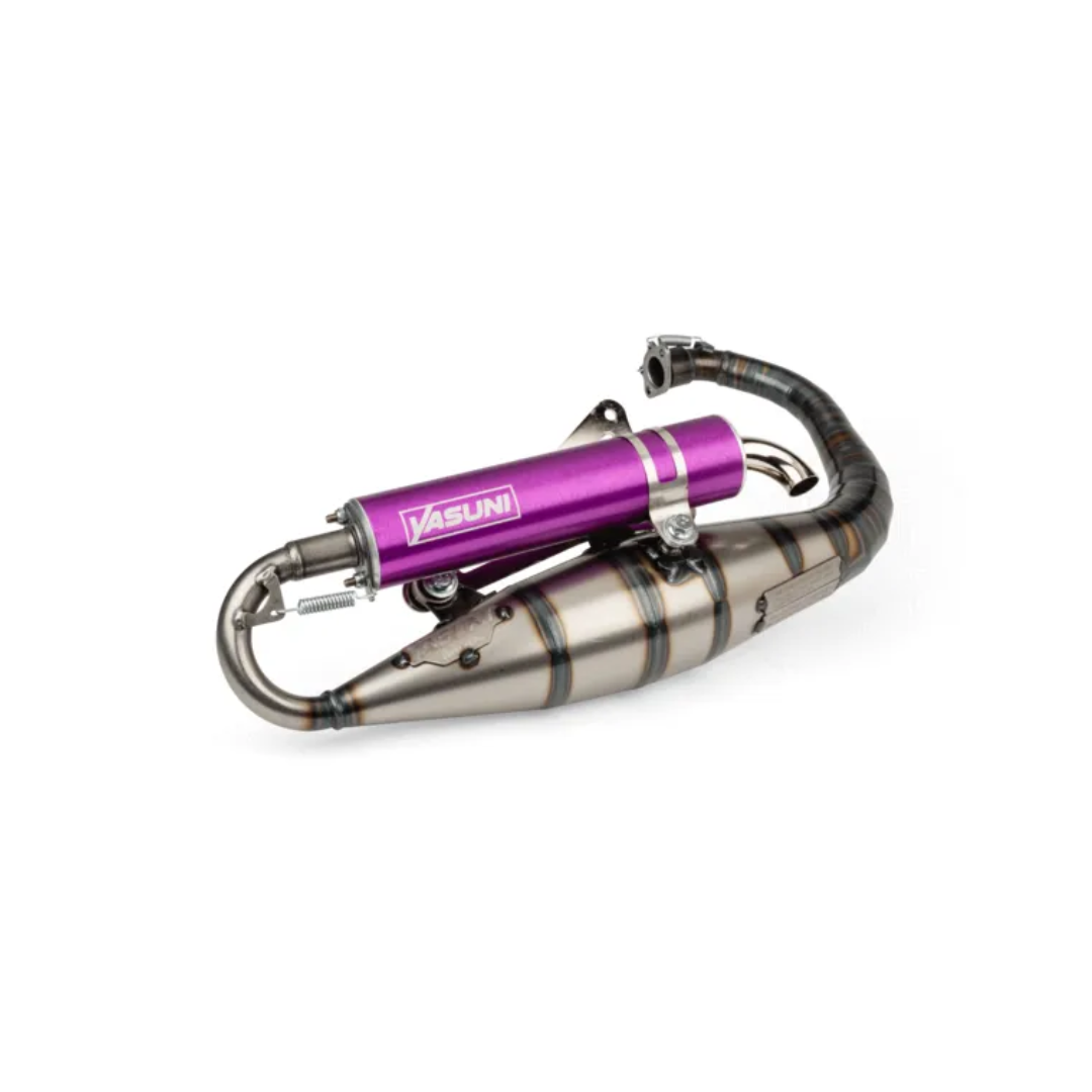 Yasuni c16 piaggio 2 coup violet