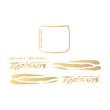 Stickerset Waves Piaggio / Gilera Typhoon
