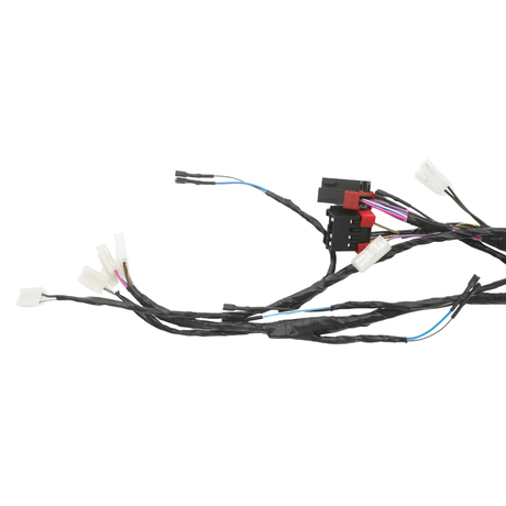 Kabelboom Compleet Piaggio Zip 50cc 2 Takt