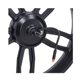 Achterwiel Zwart + Motor 20 Inch 48V 250W Rode Stekker V8 / V20 Fatbike