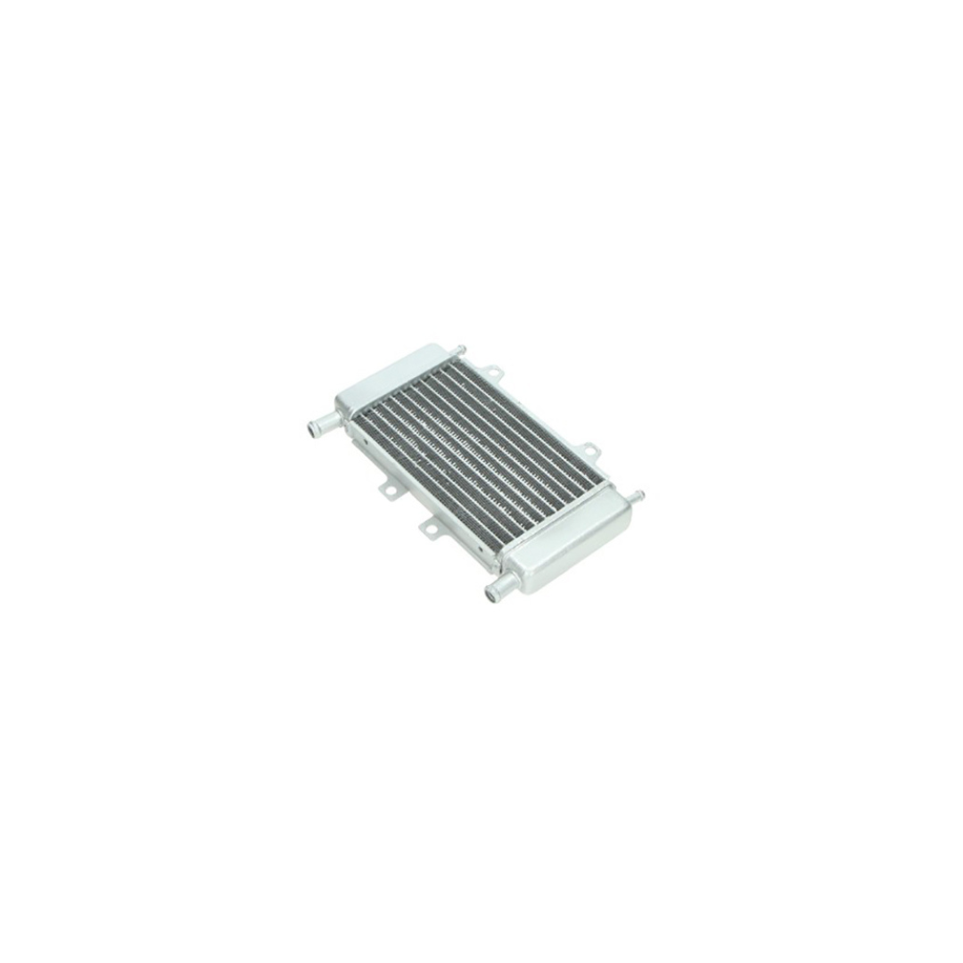 Radiator Runner/Piaggio ZIP SP