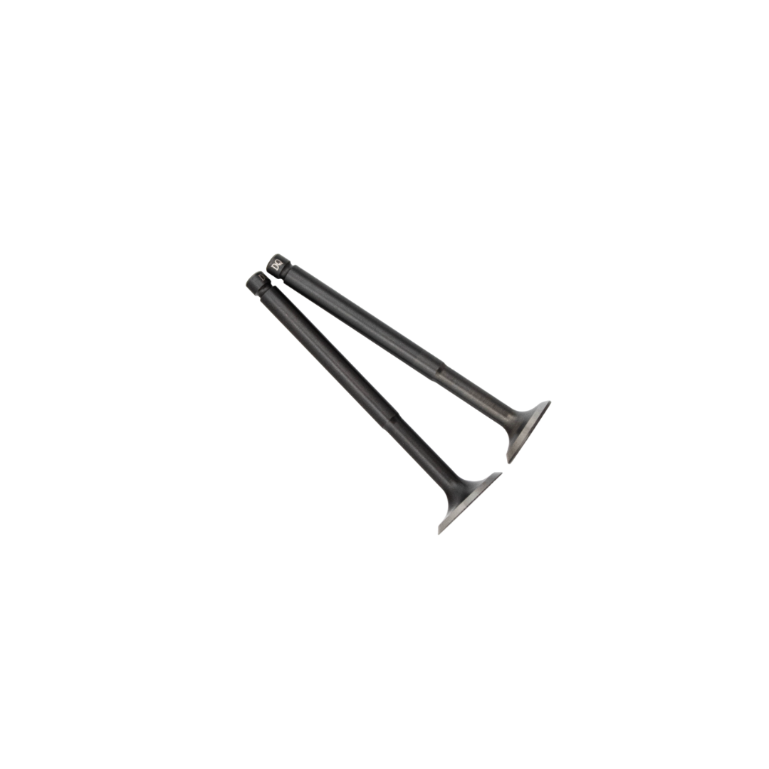 Kleppenset inlet + Exhaust - Piaggio 4T 2V models