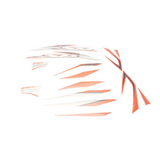 Sticker set ZIP SP H2O Orange/Gray Original