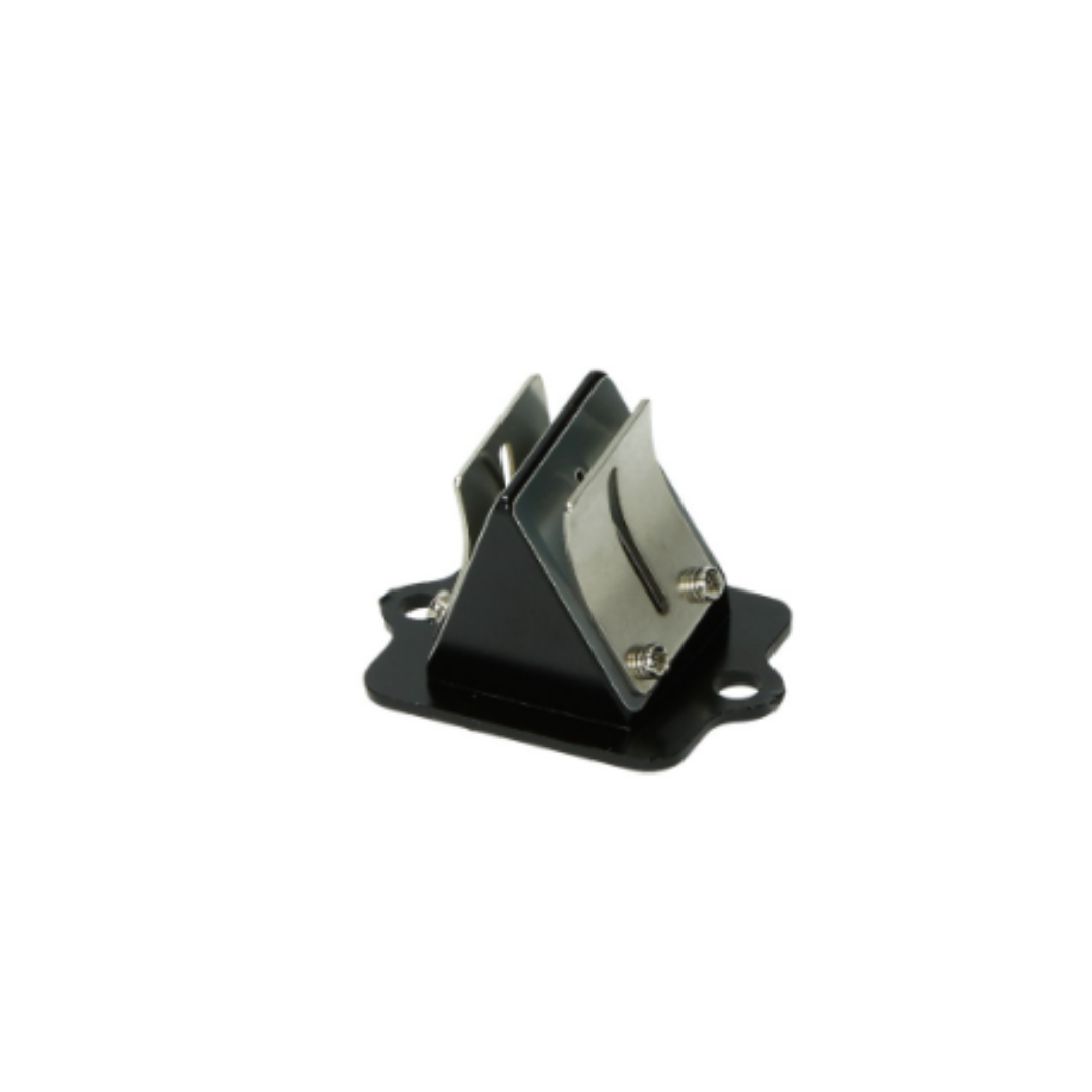 Race Membrane Piaggio 2 ictus