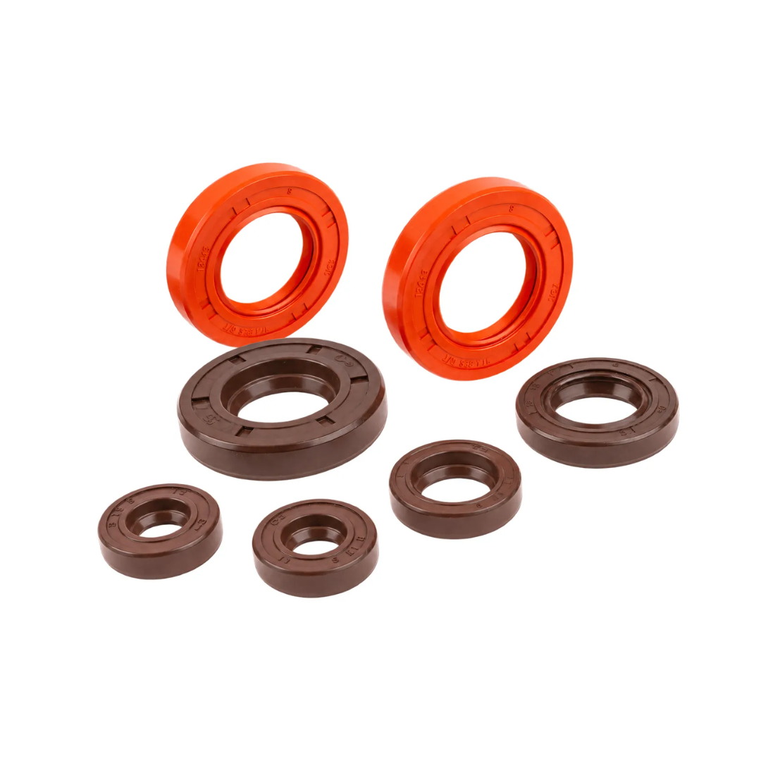 Set paraoli motore Stage6 Derbi Euro 3 / Euro 4